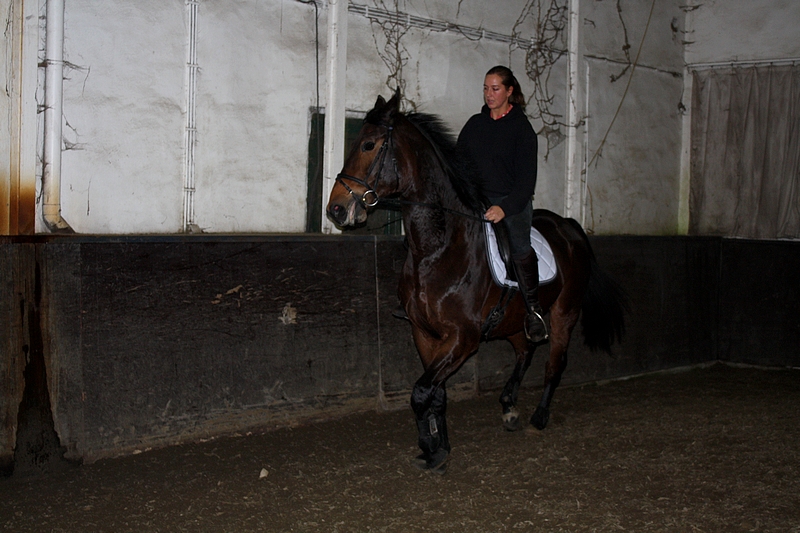 Trening7
