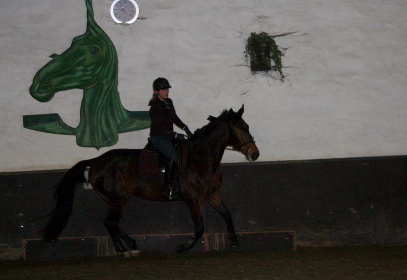 Trening 14