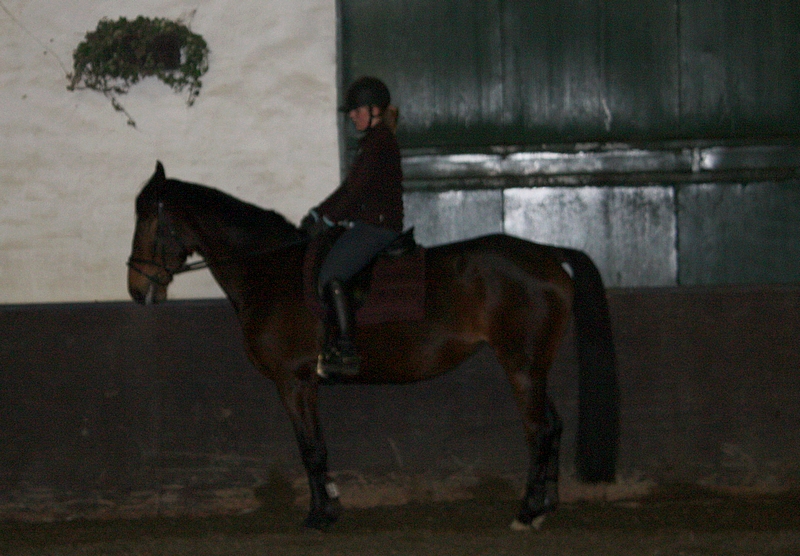 Trening 13