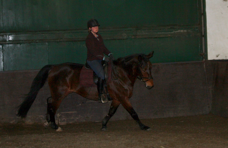 Trening 15